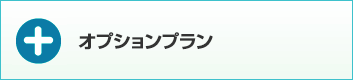 オプションプラン